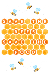 save the bees save the food