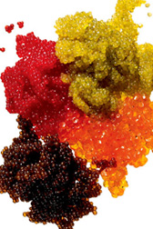 caviar